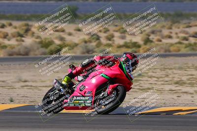 media/Oct-08-2023-CVMA (Sun) [[dbfe88ae3c]]/Race 2 Supersport Middleweight (Shootout)/